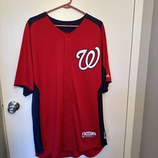Maillot Washington Nationals Troy Gingrich équipe émis