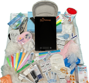 whelping box heating pad