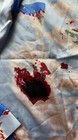 Bild 11 von 16
