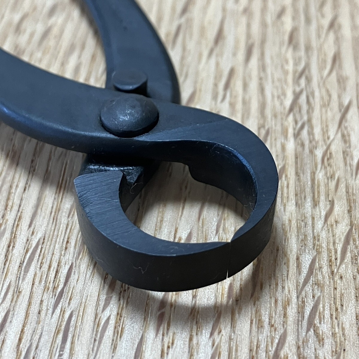 Masakuni bonsai tool No.36 Knob cutter Small | eBay