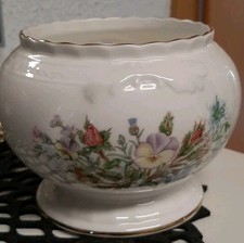 Aynsley Englisch Fine Bone China Wild Tudor e...