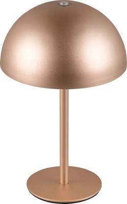 REALITY LED-Akku-Tischleuchte MUNOZ, R54891165, 1,3W, 120lm, 3000K, coffee