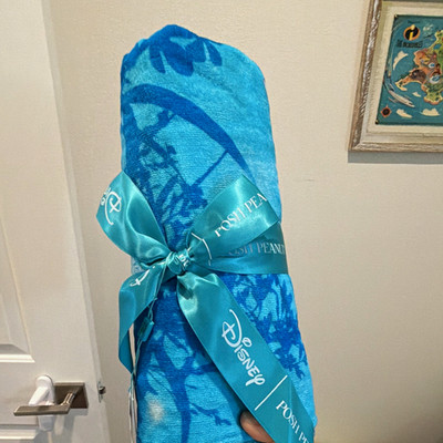 Posh Peanut Disney Cinderella Blue Floral Beach Towel