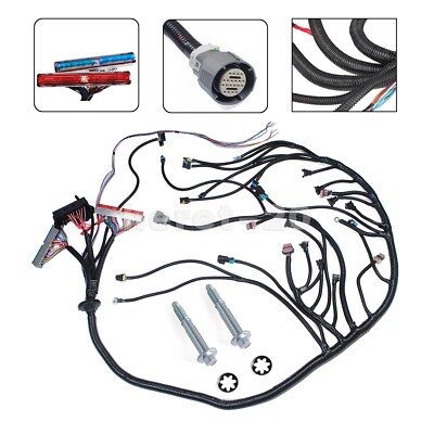4L60E Standalone Harness Drive By Cable Standalone LS Swap Wiring - Foto 2