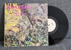 COLIBRI DAS BESTE VON BYRDS NM/SEHR GUTER ZUSTAND + ANTHROPO