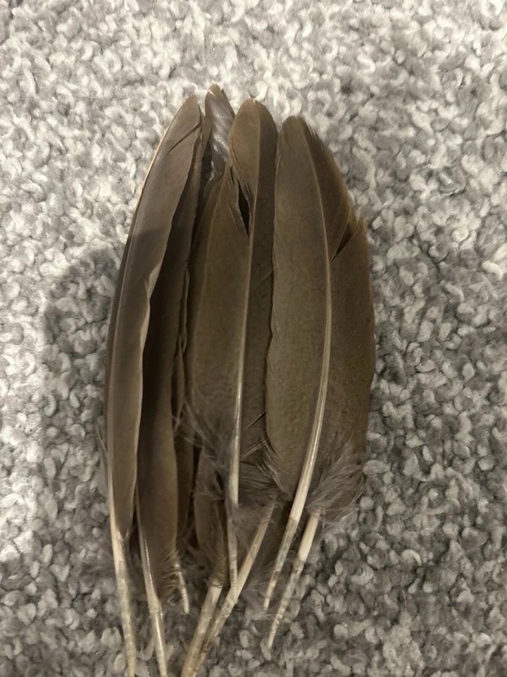 10 PLUMAS DE ALA DE PERDIZ FRANCESA WEST COUNTRY *ATAR MOSCAS*ARTES Y ARTESANÍAS DE SOMBRERERÍA Foto 2 de 2