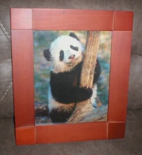 PANDA BEAR FRAMED PRINT SOLD AS IS