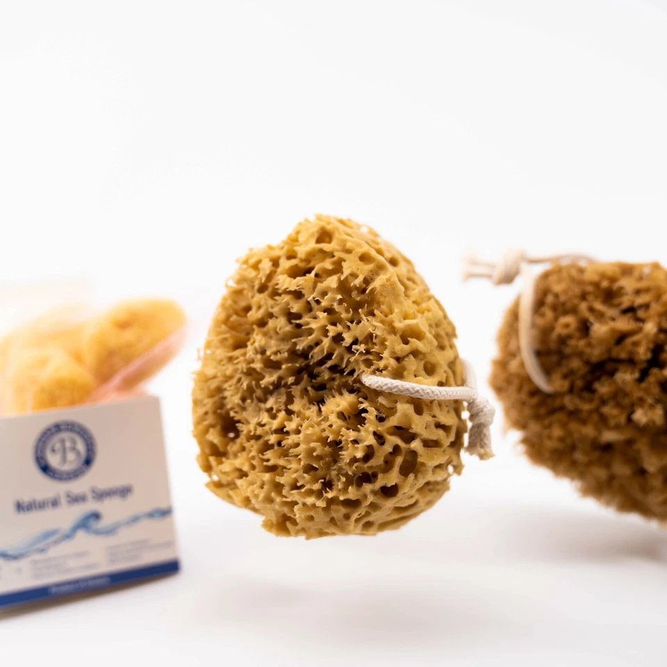 Natural Sea Sponge for Bath and Shower UK Honeycomb Bath Sea Sponge - Image 4 of 4