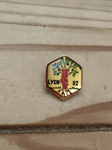 Pin's Pins Pin Enamel 21 FRANCE Ville Olivier " Lyon" - Picture 3 of 3