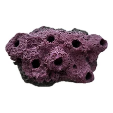 Reef Aquarium Sandbed 7 Hole Frag Rock/FragRack for live coral frags