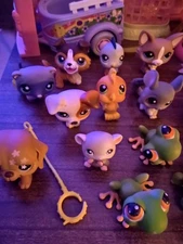 29 Littlest Pet Shop Animals And Accessories