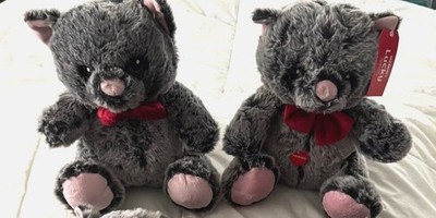 Lot 2 PetSmart Plush Lucky the Cat Squeaker 12'' Gray Stuffed Animal Dog Toy NWT