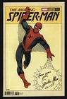 AMAZING SPIDER-MAN #75 Steve Ditko 1:50 Hidden Gem Variant NM