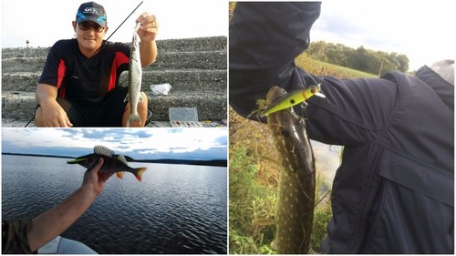 Señuelo de pesca Jerkbait cebo con señuelo 2 1/2 pulgadas apretado realista hundimiento lento HM639 - Imagen 7 de 49