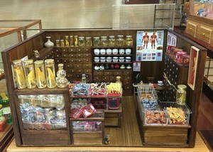 dollhouse miniatures store