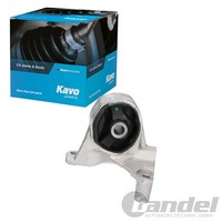 Kavo Parts Motorlager Vorne Passend FüR Honda Civic FR-V Stream | EEM-2033