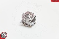 Esen SKV Agr-Ventil U.A. FüR Audi, Seat, Skoda, VW