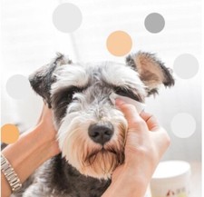 Dog Wipes Stains Eye Tear Stain Remover New 130pcs Pet Cat Gentle Clean