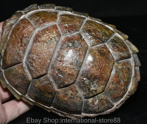 6.4" Rare Chinese Old Hetian Jade Carving Dynasty Palace Turtle Tortoise Shell - Picture 11 of 13