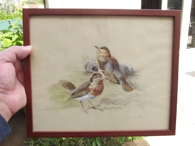 ancien tableau aquarelle représentant des oiseaux rouge gorge signer L. Remy - Photo 1/4