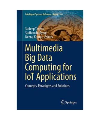 Multimedia Big Data Computing for IoT Applications: Concepts, Paradigms and Solu