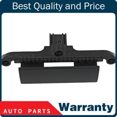 Interior Door Handle 1 X Dorman - HD Solutions For Freightliner 2009-2009