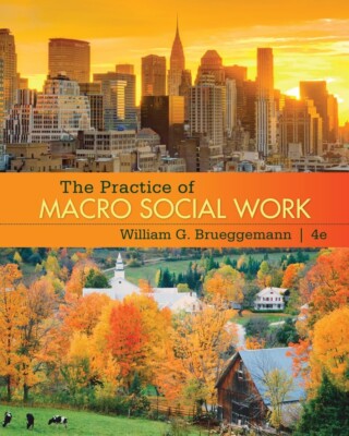 Practice of Macro Social Work by William G. Brueggemann (2013, Trade Paperback)