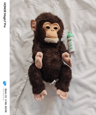 Hasbro Fur Real Friends Affe