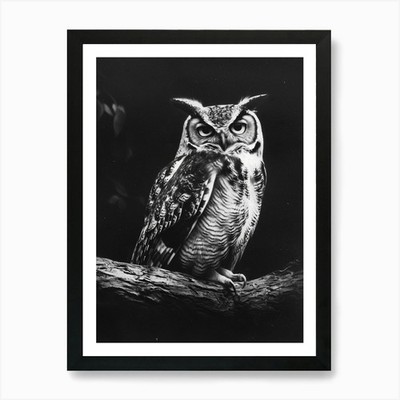 Afrikanische Scops Eule Kohle Zeichnung gerahmt Wandbild Poster Leinwanddruck Bild