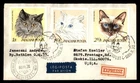 Mayfairstamps Hungary FDC 1968 Cats Combo Budapest Express First Day Cover aaw_5