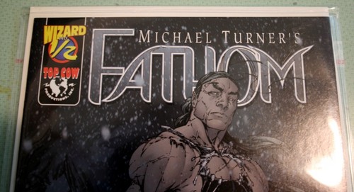 Michael Turner FATHOM #1/2 Wizard Certificate of Authenticity & Original Sleeve - Picture 2 of 4