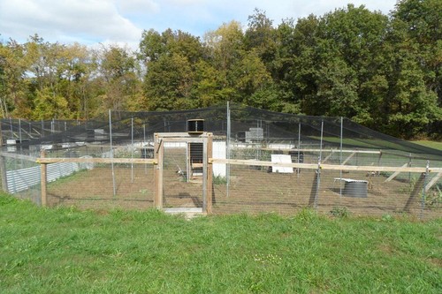Pinnon Hatch Farms Light Knitted Netting -Garden Protection- Lasts 8 to 10 Years - Picture 8 of 12