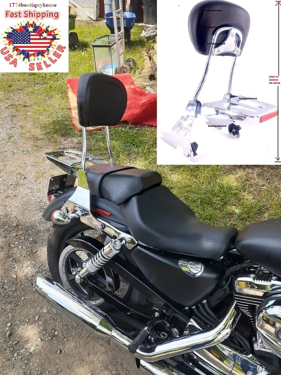 Custom motorcycle 2024 sissy bar