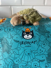 Timmy Turtle : Reptiles : Jelly Collector