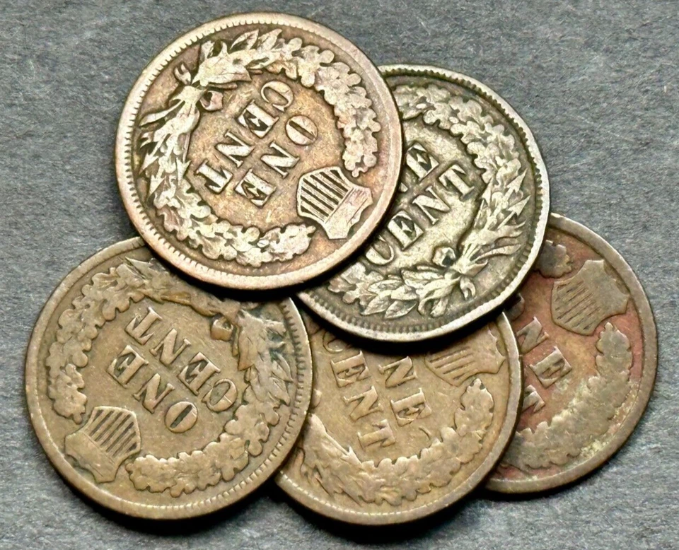 Estate Sale ~ Indian Head Cent Penny Lot of 5 DIFFERENT Dates From 1880 To 1899 - Image 4 of 4