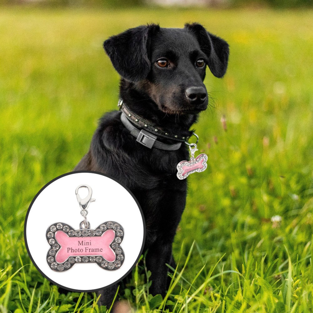 2 Pcs Targhette Personalizzate Cani Accessori Collari Targhetta Cane Tag Del foto 5