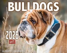 2026 Bulldogs Wall Calendar 16-Month X-Large Size 14x22 | FREE SHIPPING