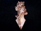 Old Nephrite Jade Stone Carved HongShan Culture Arrow Head w/ Dragon #01242207 — photo 7