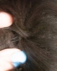 Bild 10 von 12