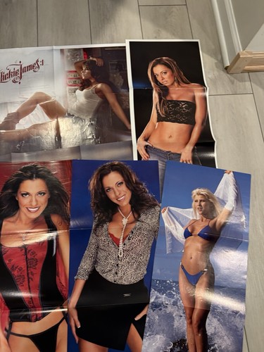 Lot of 10 WWE Divas Posters From Magazines WWF Trish Stratus Stacy Keibler Maria - Picture 5 of 8