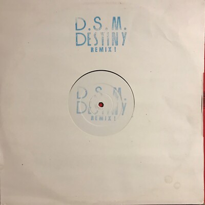 D S M   Destiny (Remix)   Vinyl 12 Mix   PROMO