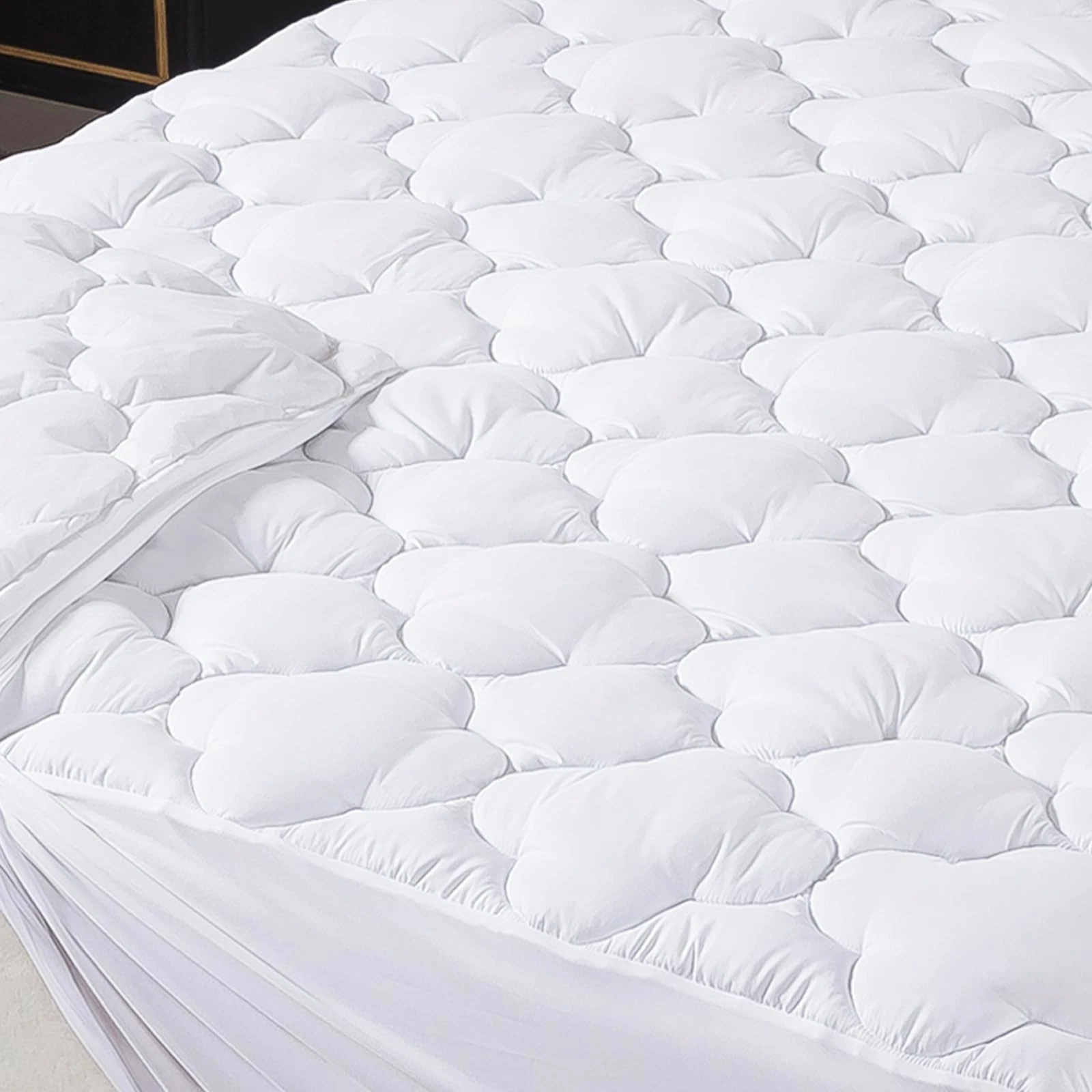 Queen Mattress Pad,Fitted Queen Mattress Protector Soft with Deep Pocket 6"-1...