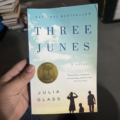 Three Junes by Julia Glass Pulitzer Prize Winning Literary Fiction- ACCEPT.