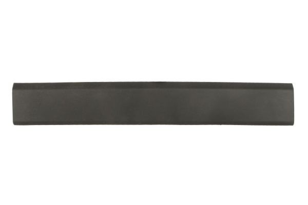 Left BLIC 5703-06-6089576SP Trim/Protection Strip, quarter panel for RENAULT