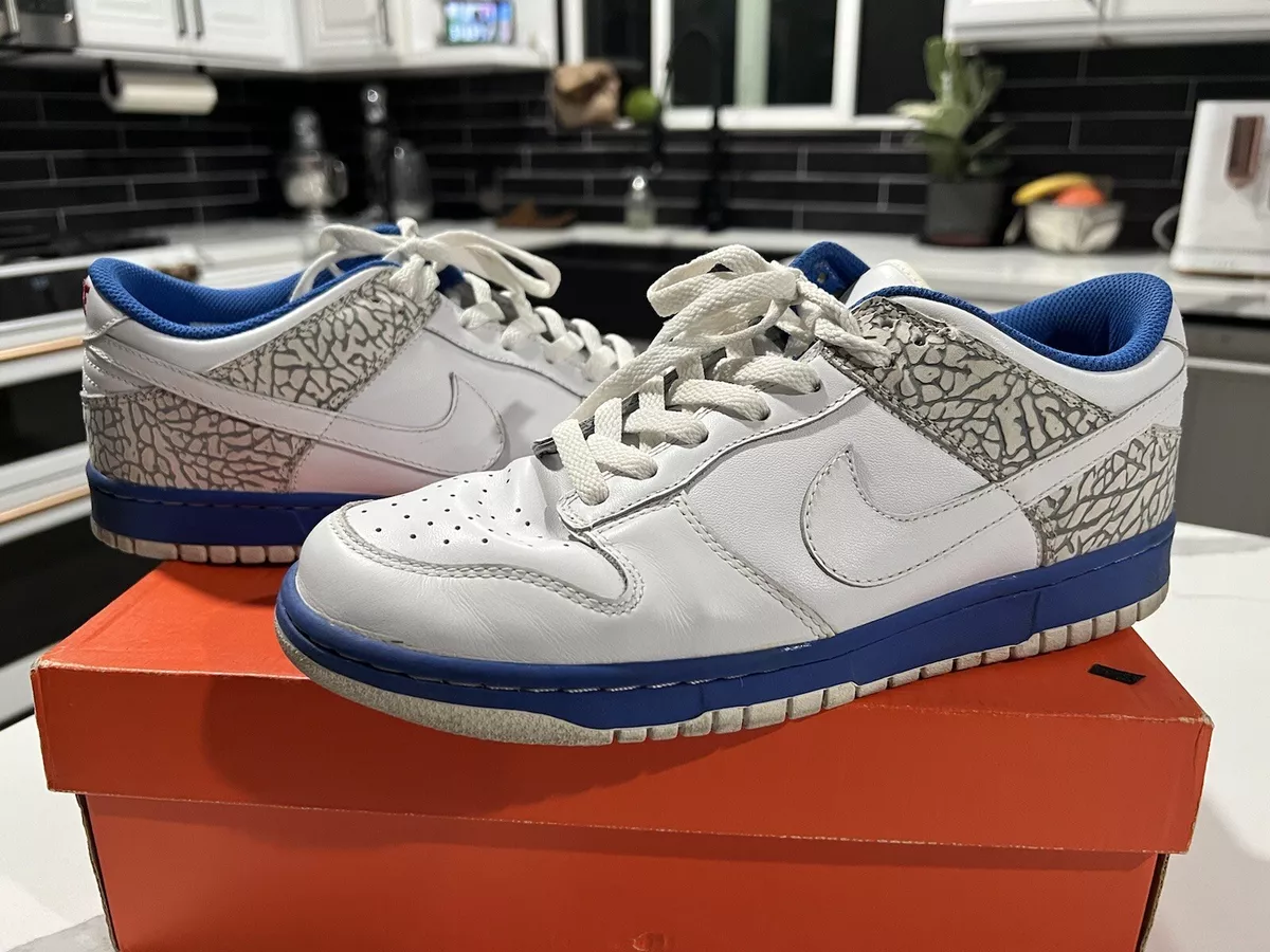 Nike clearance dunk cl