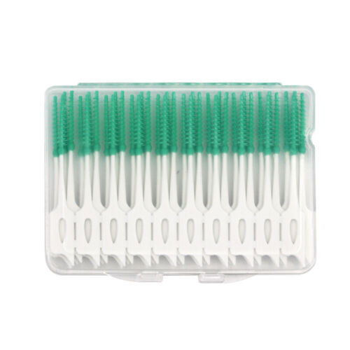 80Pcs Dental Interdental Clean Teeth Floss Sticks Tooth Brush Toothpick Care - Picture 1 of 17