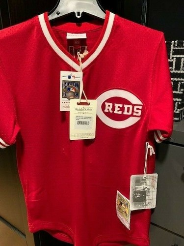Cincinnati Reds Johnny Bench Mitchell 
