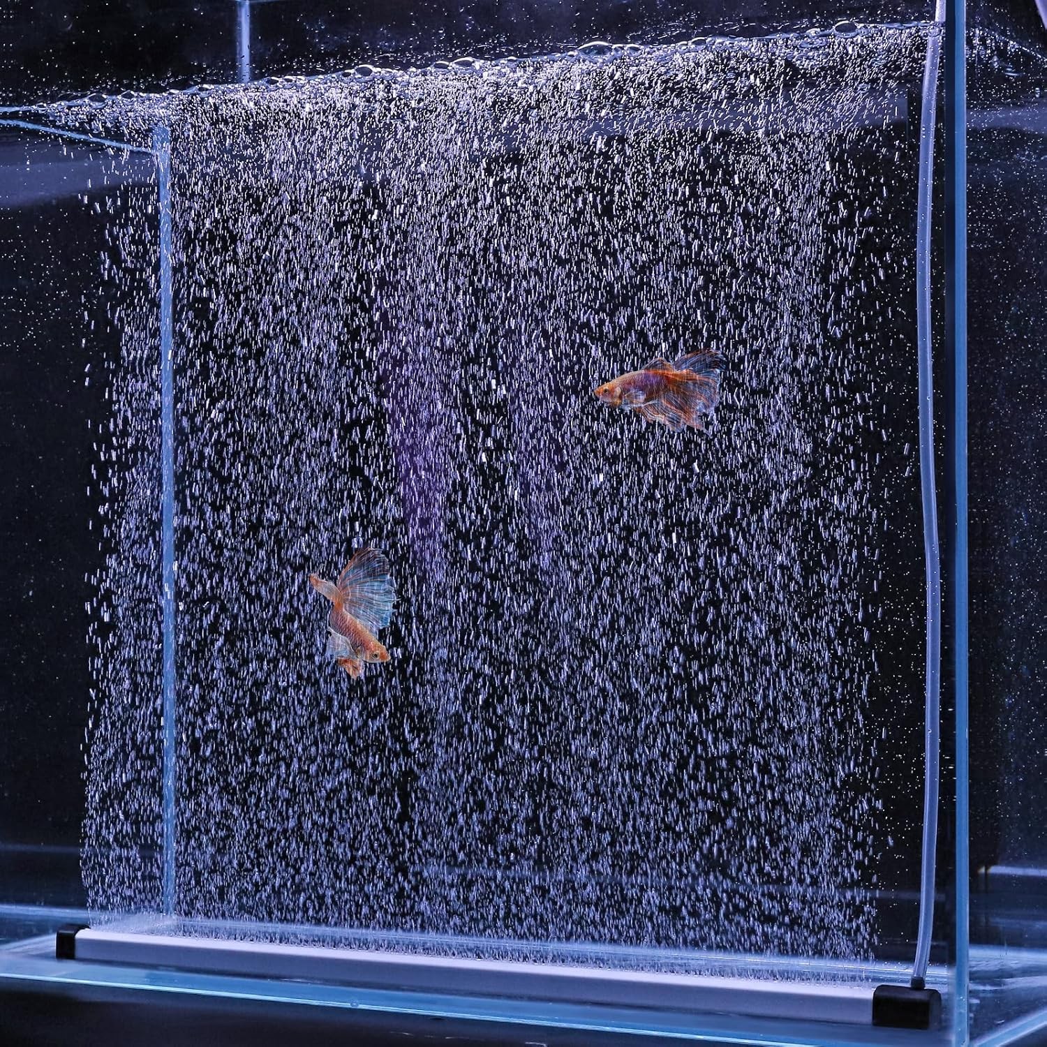 Striscia Bolla Acquario Aggiornata Nano Diffusore Ossigeno Alta Dissoluzione Kit Pietra Aria