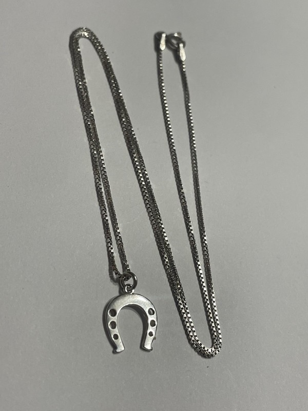 Stunning Vintage 18" Sterling Silver GOOD LUCK/LUCKY Horseshoe Pendant Necklace