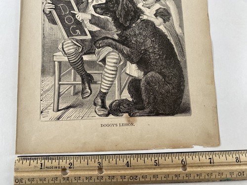 Antik 1879 Gravur Doggy’s Lesson Alt 1800’s Kunstdruck Lehre Hund Tricks - Bild 3 von 3